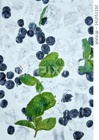 Blueberry mint sparkling drink with ice cubes and fresh leaves macro Blueberry mint sparkling drink with ice cubes and fresh leaves macro 141052192
