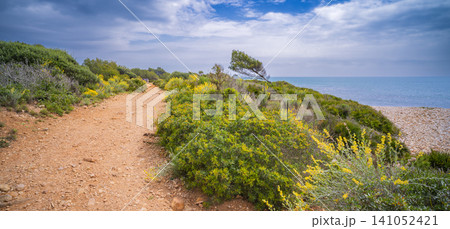 Sierra de Irta Natural Park, Spain 141052421