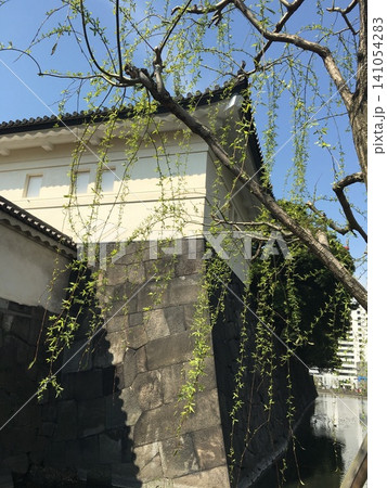皇居の石垣と櫓と枝垂れ柳 皇居の石垣と櫓と枝垂れ柳 141054283