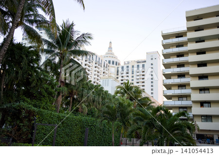 High Rise Condominium Towers Framed by Tropical Palm Trees High Rise Condominium Towers Framed by Tropical Palm Trees 141054413