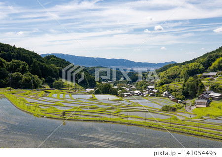 奈良県 明日香村 細川の棚田 奈良県 明日香村 細川の棚田 141054495