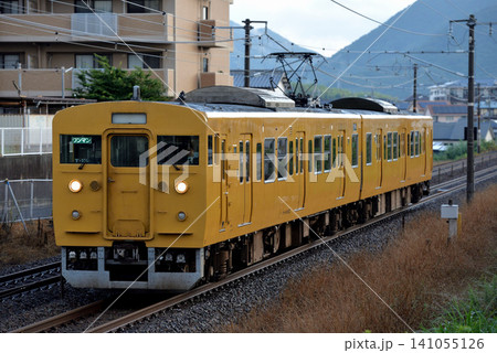 運用最終日の食パン顔115系電車ラストラン 運用最終日の食パン顔115系電車ラストラン 141055126