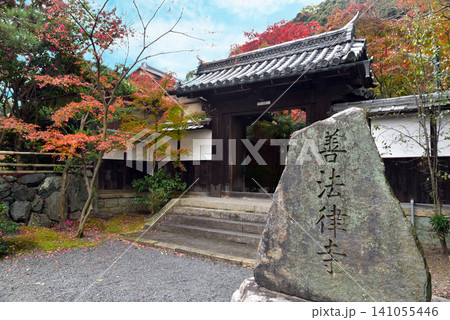 紅葉が美しい善法律寺の秋 紅葉が美しい善法律寺の秋 141055446