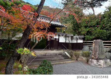 紅葉が美しい善法律寺の秋 紅葉が美しい善法律寺の秋 141055448