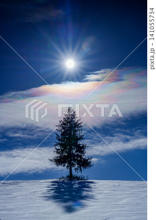 北海道美瑛富良野 雪原に立つ一本の木と彩雲が広がる冬の絶景 観光素材 北海道美瑛富良野 雪原に立つ一本の木と彩雲が広がる冬の絶景 観光素材 141055734