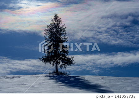北海道美瑛富良野 雪原に立つ一本の木と彩雲が広がる冬の絶景 観光素材 北海道美瑛富良野 雪原に立つ一本の木と彩雲が広がる冬の絶景 観光素材 141055738