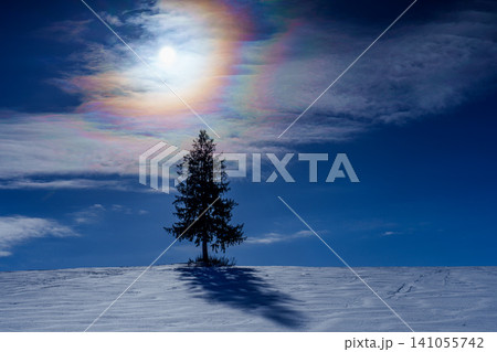 北海道美瑛富良野 雪原に立つ一本の木と彩雲が広がる冬の絶景 観光素材 北海道美瑛富良野 雪原に立つ一本の木と彩雲が広がる冬の絶景 観光素材 141055742
