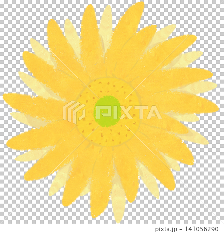 Flower Flower 141056290