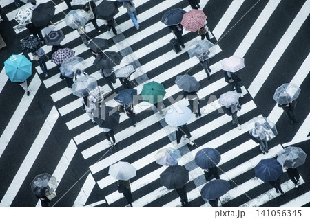 梅雨イメージ、傘を差して横断歩道を渡る人々 梅雨イメージ、傘を差して横断歩道を渡る人々 141056345