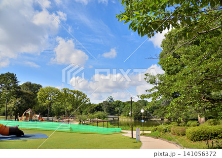 《愛知県》名古屋市名城公園から見る名古屋城 《愛知県》名古屋市名城公園から見る名古屋城 141056372