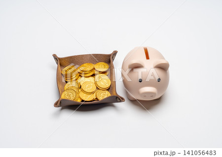 資産運用をイメージさせる金貨のトレイと豚の貯金箱の並び 資産運用をイメージさせる金貨のトレイと豚の貯金箱の並び 141056483
