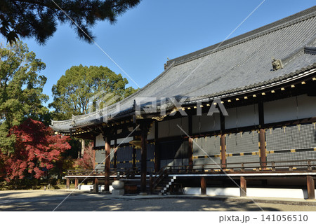 世界遺産仁和寺 秋の金堂(京都市右京区) 世界遺産仁和寺 秋の金堂(京都市右京区) 141056510