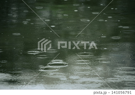 水に落ちる雨粒と水面にできた波紋 水に落ちる雨粒と水面にできた波紋 141056791