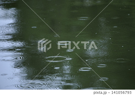水に落ちる雨粒と水面にできた波紋 141056793