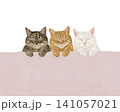 寝る猫さん 141057021