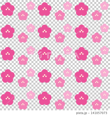 かわいい梅の花のパターン　背景素材 141057073