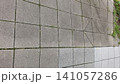 古いタイル道 141057286