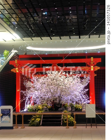 羽田空港の国際線ターミナルで、美しい桜に彩られた日本らしい赤い鳥居の風景 羽田空港の国際線ターミナルで、美しい桜に彩られた日本らしい赤い鳥居の風景 141057326