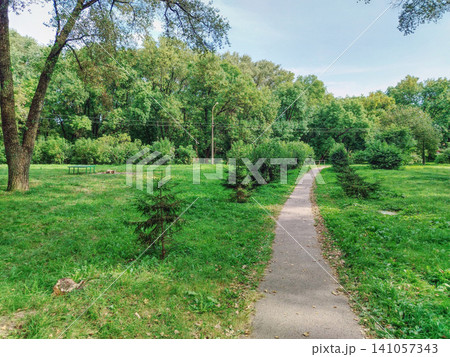 Sunlit Park Path Through Lush Green Trees With Small Pines and Open Grass Meadow. Sunlit Park Path Through Lush Green Trees With Small Pines and Open Grass Meadow. 141057343