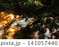 足洗川・太子の冷泉（兵庫県） 141057440