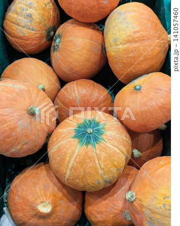 Orange pumpkins and gourds displaying vibrant colors and healthy appearance Orange pumpkins and gourds displaying vibrant colors and healthy appearance 141057460