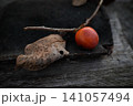 古い木板の上に静かに佇む一枚の枯れ葉と小さな赤い柿の実 141057494