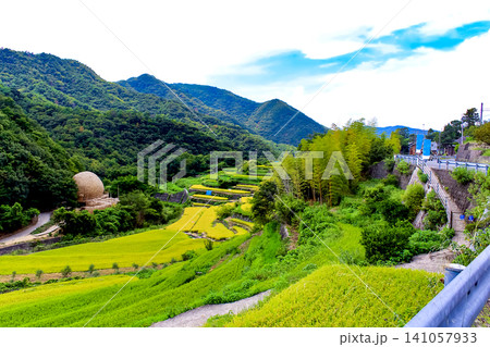 【香川】夏の小豆島 快晴の中山千枚田 【香川】夏の小豆島 快晴の中山千枚田 141057933