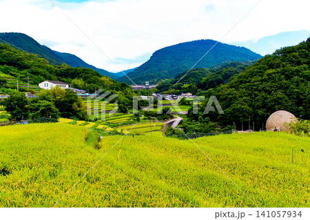 【香川】夏の小豆島 快晴の中山千枚田 【香川】夏の小豆島 快晴の中山千枚田 141057934