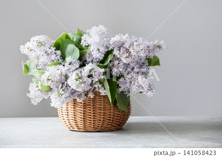 Lilac bouquet in wicker basket on gray background with copy space Lilac bouquet in wicker basket on gray background with copy space 141058423