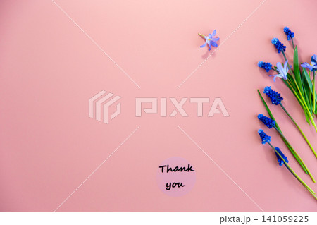 soft pastel background with blue blossoms and thank you label 141059225