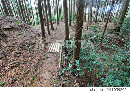 近江国 忍者の城 和田城 土塁と曲輪 近江国 忍者の城 和田城 土塁と曲輪 141059262