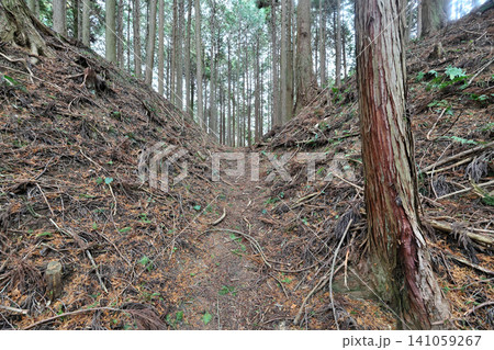 近江国　忍者の城　和田城　土塁と曲輪 141059267