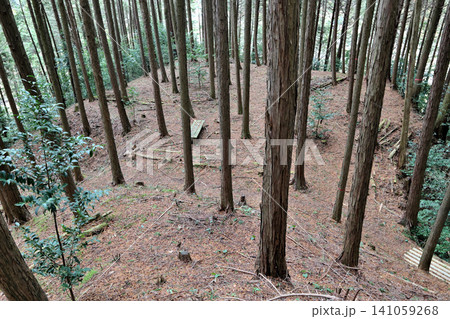 近江国 忍者の城 和田城 土塁と曲輪 近江国 忍者の城 和田城 土塁と曲輪 141059268