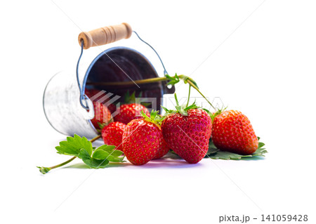Fresh strawberry harvest displayed with natural foliage Fresh strawberry harvest displayed with natural foliage 141059428