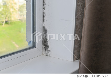 Window corner displays dark mildew buildup caused by condensation and indoor humidity near glass panel. 141059772