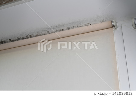Unhealthy fungus grows on damp window opening surface. 141059812