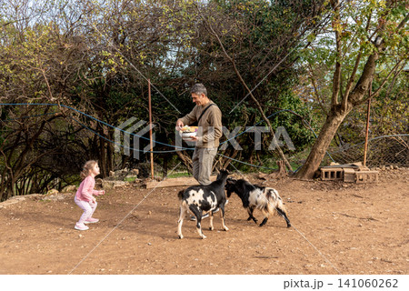 Family of man and girl feed farm goats vegetables in spacious paddock farmyard Family of man and girl feed farm goats vegetables in spacious paddock farmyard 141060262