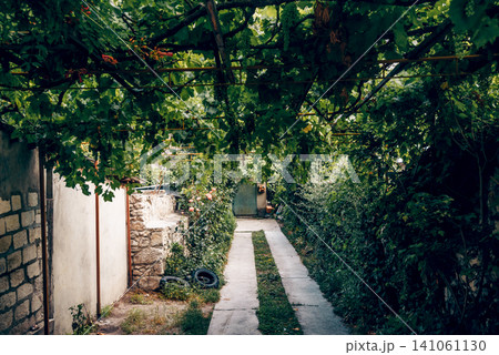 Entrance door small residential house in neighborhood, exterior building outside Entrance door small residential house in neighborhood, exterior building outside 141061130