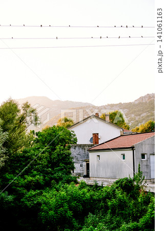 Small residential house cottage in suburbs neighborhood country exterior outside Small residential house cottage in suburbs neighborhood country exterior outside 141061163