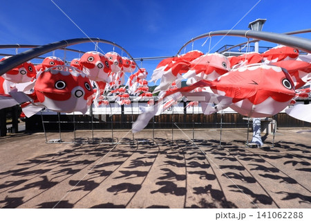 柳井 金魚ちょうちん祭り2946 柳井 金魚ちょうちん祭り2946 141062288