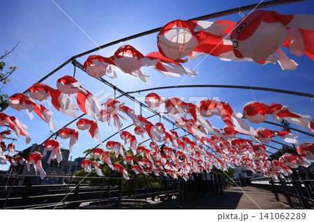 柳井 金魚ちょうちん祭り2973 141062289