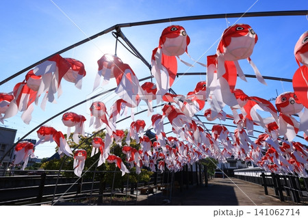 柳井 金魚ちょうちん祭り3128 柳井 金魚ちょうちん祭り3128 141062714