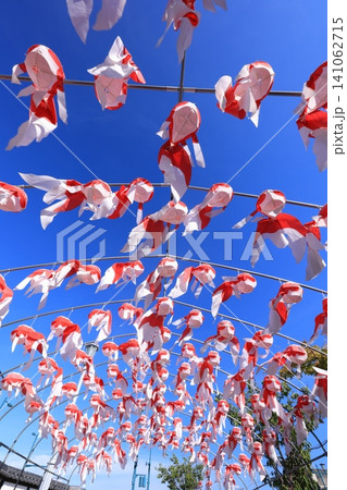 柳井 金魚ちょうちん祭り3130 柳井 金魚ちょうちん祭り3130 141062715