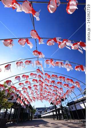 柳井 金魚ちょうちん祭り3134 柳井 金魚ちょうちん祭り3134 141062719