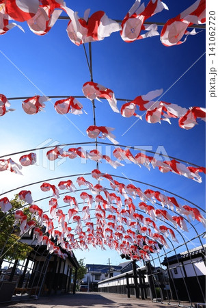 柳井 金魚ちょうちん祭り3137 柳井 金魚ちょうちん祭り3137 141062720