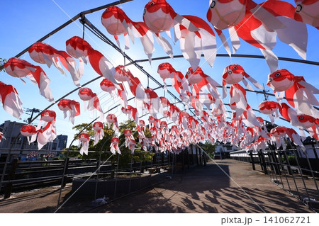 柳井 金魚ちょうちん祭り3138 柳井 金魚ちょうちん祭り3138 141062721