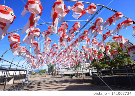 柳井 金魚ちょうちん祭り3141 柳井 金魚ちょうちん祭り3141 141062724