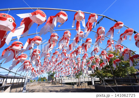 柳井 金魚ちょうちん祭り3142 柳井 金魚ちょうちん祭り3142 141062725