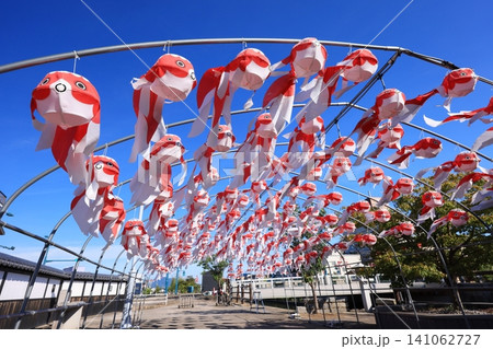 柳井 金魚ちょうちん祭り3144 柳井 金魚ちょうちん祭り3144 141062727