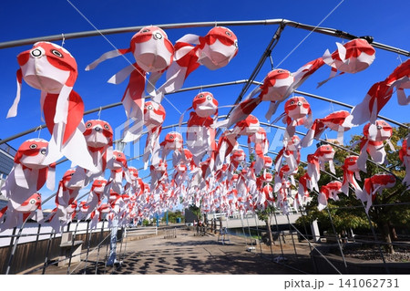 柳井 金魚ちょうちん祭り3149 柳井 金魚ちょうちん祭り3149 141062731
